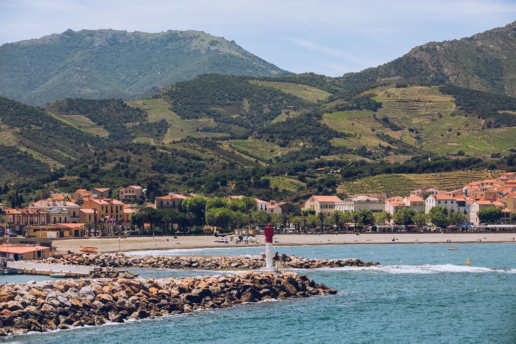Regina'S Banyuls - Spatious Apartment Next To The Beach Exterior foto