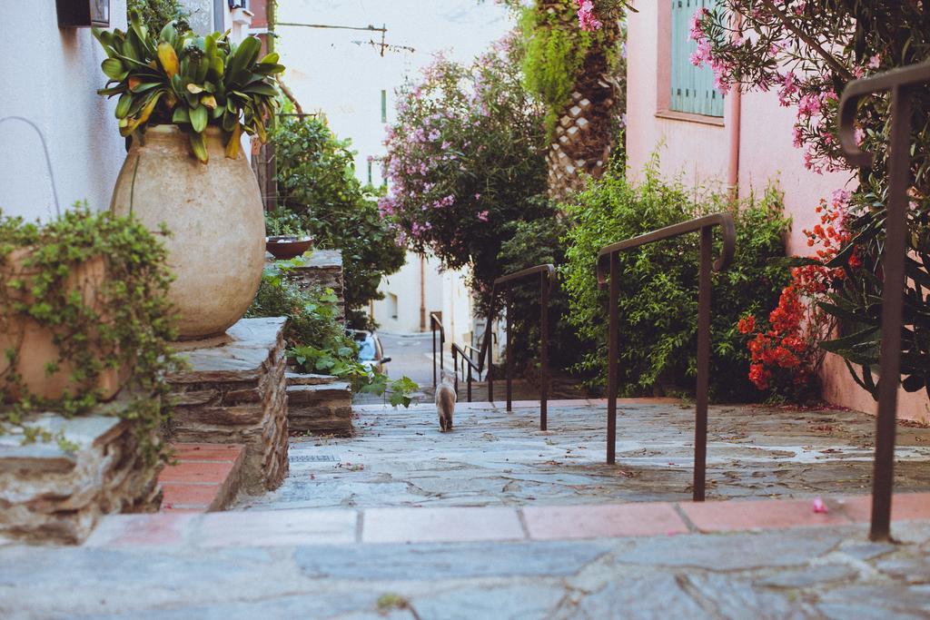 Regina'S Banyuls - Spatious Apartment Next To The Beach Exterior foto